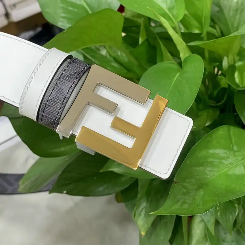 Fendi Belts 2201XA0147