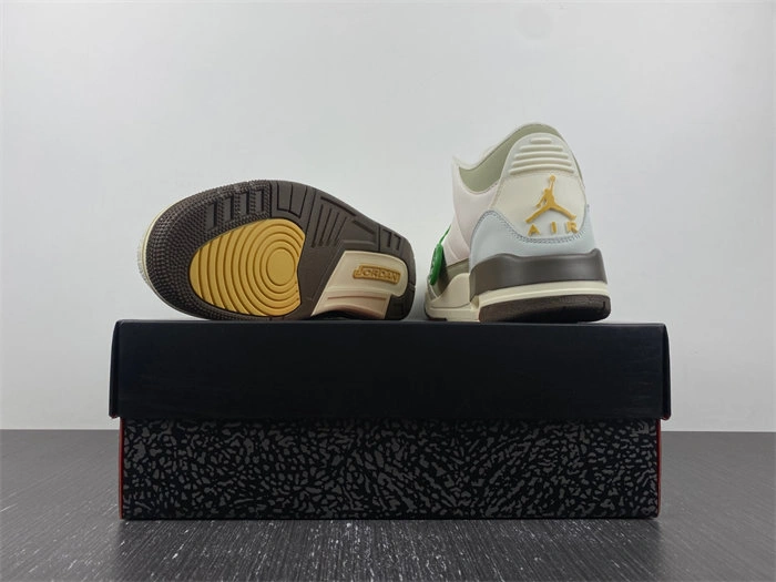 Air Jordan 3 DX6660- TravelReady 3816