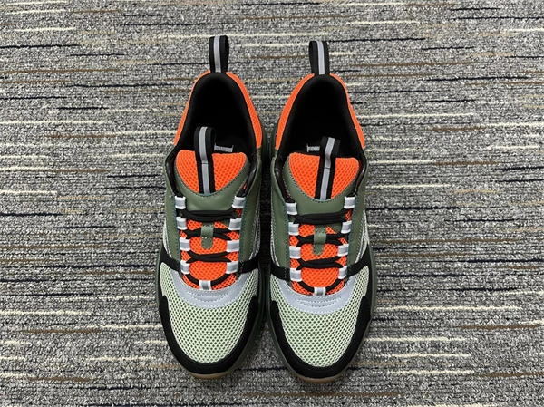 Colorful Dior B 1316