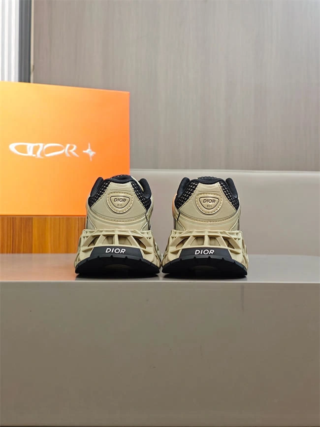 Timeless Dior B35 DR1823- 1075