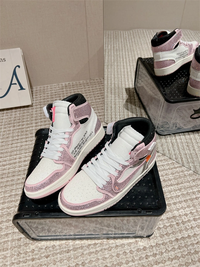Dior x Nike Air Jordan Snug 3672