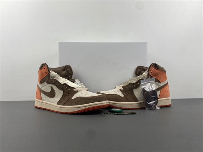 Neat Jordan 1 Retro High OG SP Dusted Clay FQ2941- 3651