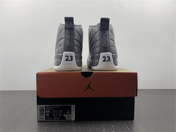 Jordan 12 STEALTH CT8025- Sleek 4144