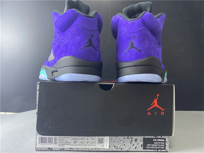 Jordan5 Alternate Graape 136027- TimelessDesign 4020